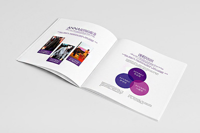 安娜品牌形象色彩畫冊(cè)設(shè)計(jì) - 深圳市頂點(diǎn)企業(yè)形象策劃專業(yè)設(shè)計(jì)服務(wù)