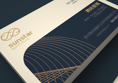 晟裕星耀企業(yè)形象設(shè)計(jì) 專業(yè)設(shè)計(jì)服務(wù)鑄就品牌卓越